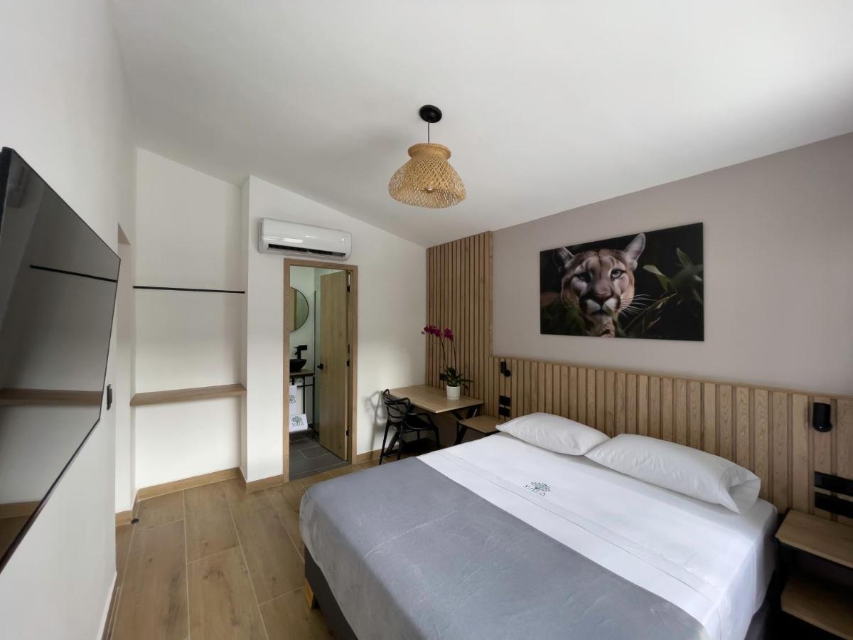 Vita Hotel Boutique Medellín Extérieur photo