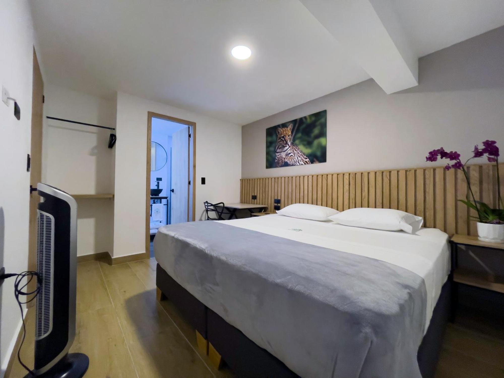 Vita Hotel Boutique Medellín Extérieur photo